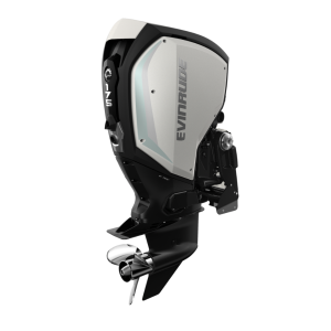 Evinrude E-TEC G2 175 HP